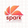 SPARK Institute of Science in Wandoor, Malappuram