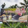 Sun Wellness Centre & Spa – Pantheerankavu