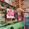 Pets in the City Kochi