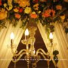 White Plate Events