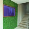 Hallway Interiors