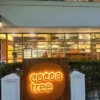 Cocoa Tree MG Road